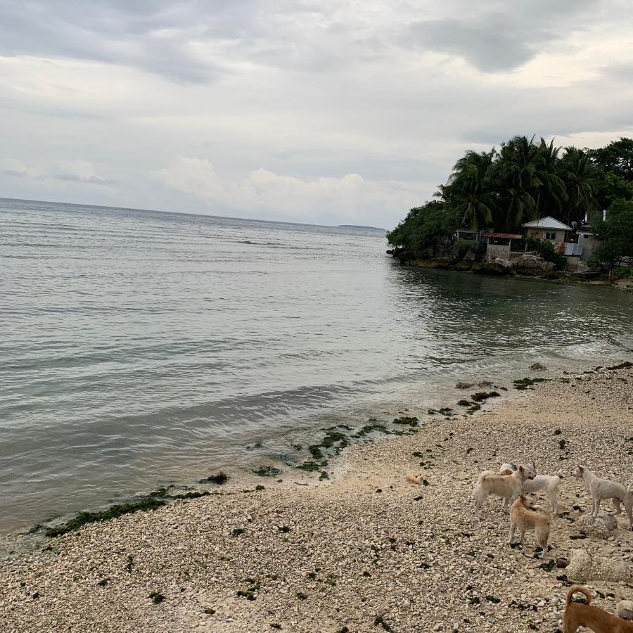 Luna Oslob Travellers Inn - Beach Front Exterior foto